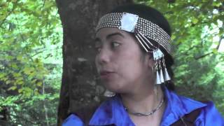 Machi Millaray Huichalaf, Defensora del Ngen Mapu Kintuante