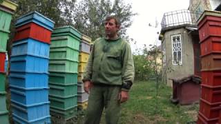 Формирование соединенных семей и сохранение суши.  Прикарпатская пасека №42 Пчеловодство.