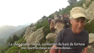 Voyage à cheval Est Pyrénées