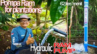 Ram pump for Durian gardens, this pump is capable of supplying water to high places