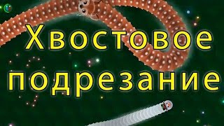 Хвостовая тактика подрезания в игре Wormax.io