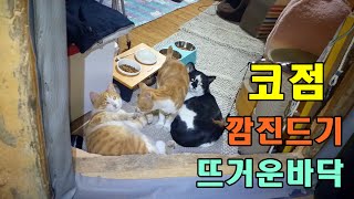 코점 또, 앗뜨거 황토방
