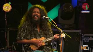 Duma Dum Mast Kalander ( Remix Cover) | Fiddler's Green | 2018 Orange Festival Dambuk