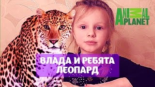 Киндер Animal Planet  Влада и Ребята  Детский Канал