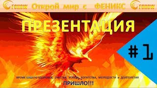 Презентация Корпорации FOHOW. Часть первая.