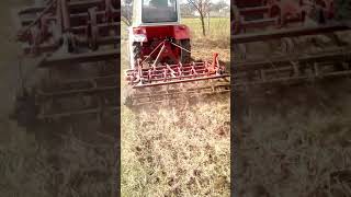 Самодельный пружинный культиватор для Т-25,первый выезд