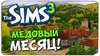 SIMS 3: Медовый месяц Брейна и Даши!