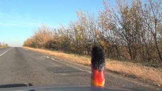 Василівка Vasylivka Кам'янка Kam'yanka Кагарлик Kaharlyk E58 M16 Україна Ukraine 19.10.2014