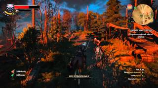 The Witcher 3 | Core i5 4570T | GTX 960