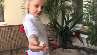 Играем в археолога