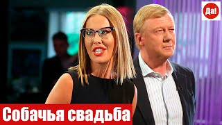 Собачья свадьба