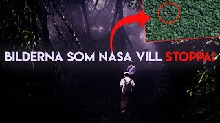 NASA GÖR ALLT FÖR ATT NI INTE SKA SE DET HÄR!