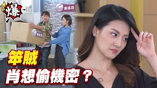 《多情大爆爆》多情城市 EP283 笨賊 肖想偷機密？