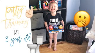Vlog 275 - Potty Training My Toddler Boy ????