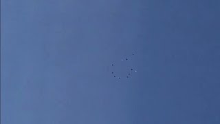 ч-1.Сколько летают голуби.