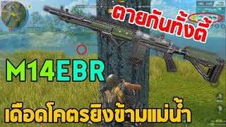 Rules Of Survival ได้ปืนM14EBR เดือดโคตรยิงข้ามแม่น้ำ ตายทั้งตี้!!