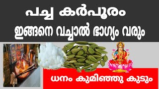 പച്ച കർപൂരം ഇങ്ങനെ ചെയ്യു . പണം കുമിഞ്ഞു കുടും 21 ദിവസത്തിനുള്ളിൽ Pacha karpooram uses in Kerala