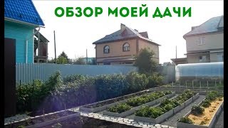 ОБЗОР ДАЧИ УМЕЛОЙ ХОЗЯЙКИ НА 20 ИЮНЯ 2017 ГОДА