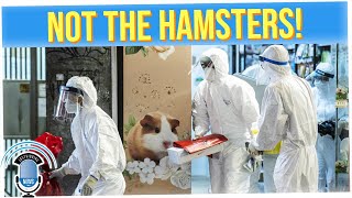 Hong Kong Eliminates Hamsters After Possible Virus Transmission (ft. Alex Acosta)