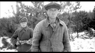 Как советские граждане уклонялись от фронта.