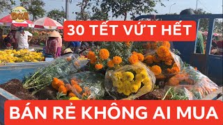 Quá tội nông dân trồng hoa kiểng 30 TẾT phải “bán đổ bán tháo”, vứt bỏ hoa kiểng vì ít người mua!