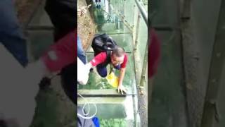 China opens a glass skyway on tiamen mountain
