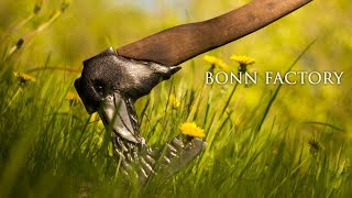 Переделка топора. Полный процесс изготовления. Ворон "Nevermore" (закалка в масле)