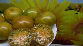 От новинок томатов глаза разбегаются! Томатный Гном Улуру Охра такой вкусный!
