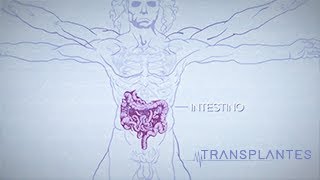 Transplantes - Série Doc - Lucas Amorim, Lucas Moreira e Weverton