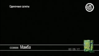 Салют одиночный Мамба