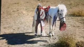 Lil sweet tiny horse