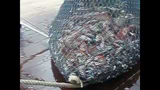 kapal bot pukat tunda rh fishery.. hutan melintang perak