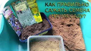 СЕМЕНА  КАК ПРАВИЛЬНО ВЫСАДИТЬ НА РАССАДУ!?