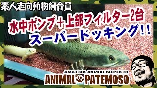 【自作工作】ろ過力＆メンテナンス性アップ！水中ポンプを上部フィルター2台につなぐ!【古代魚】【熱帯魚】【アクアリウム】