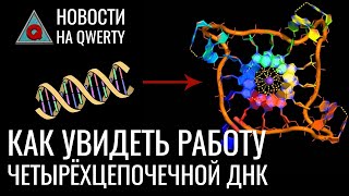 Инфу записали на бактерию, змеи ползают по-новому, фаги против супербактерий. Главное на QWERTY №155