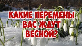 КАКИЕ ПЕРЕМЕНЫ ВАС ЖДУТ ЭТОЙ ВЕСНОЙ? Онлайн гадание Таро на будущее