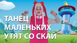 Танец маленьких утят со Скай. Raw Patrol