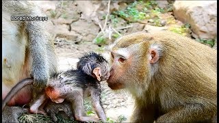 Wow!!Bonita surprise baby Barbi give sweet kiss follow her call,Bonita try talk&talk request nurse