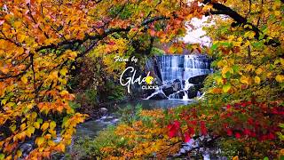 Vermont Fall Foliage 2017