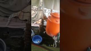 Ngintip tetangga mandi semok banget