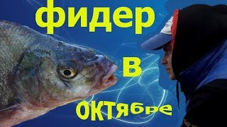 Ловля на фидер в октябре.Река Мухавец.