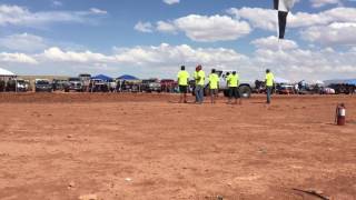Young Grey Horse By Scorpion II at Red Mesa MudBog