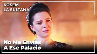 Handan Sultan Le İmplora Al Sultán Ahmed | Kosem La Sultana