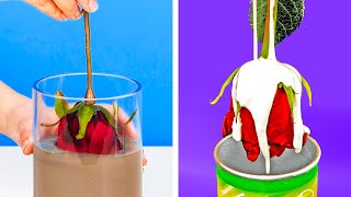 Cement crafts and DIY's that you can do easily by yourself!