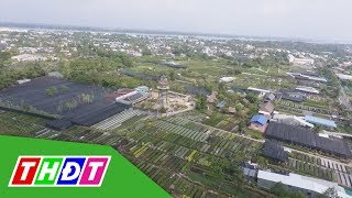 Ngắm Làng hoa Sa Đéc ngày giáp Tết | THDT