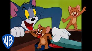 Tom y Jerry en Español ???????? | Cómo divertirse ????