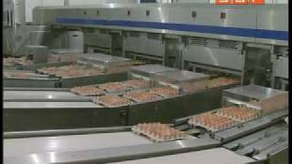На наш яичный порошок покупателей найти все сложнее