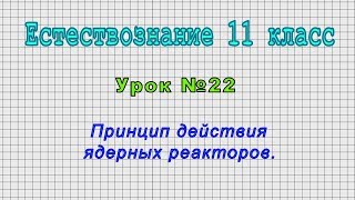 Естествознание 11 класс (Урок 22 - Принцип действия ядерных реакторов.)