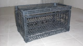 Клетка для перепелов без вложений за 30 минут :-) . quail cage