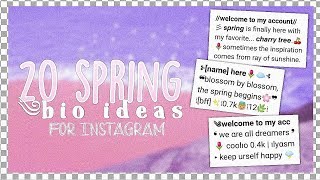 20 bio ideas for your instagram account | Rarity's tutorials